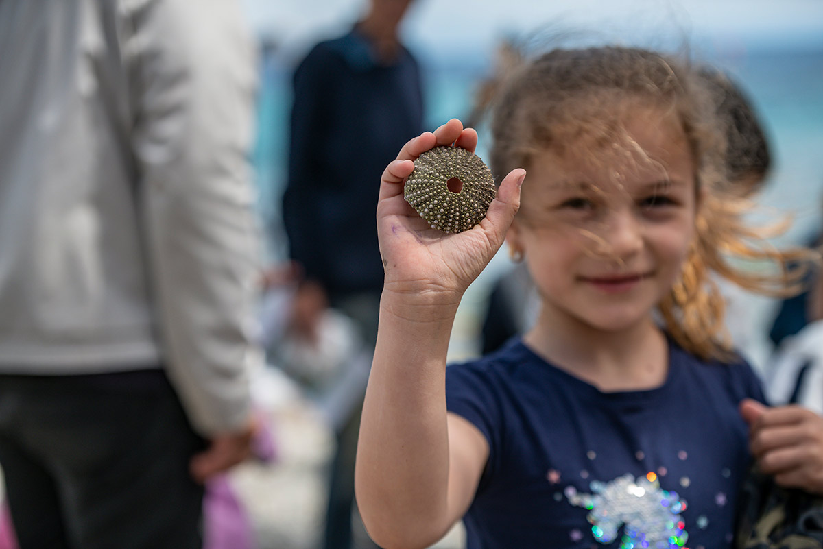 Elementi della spiaggia